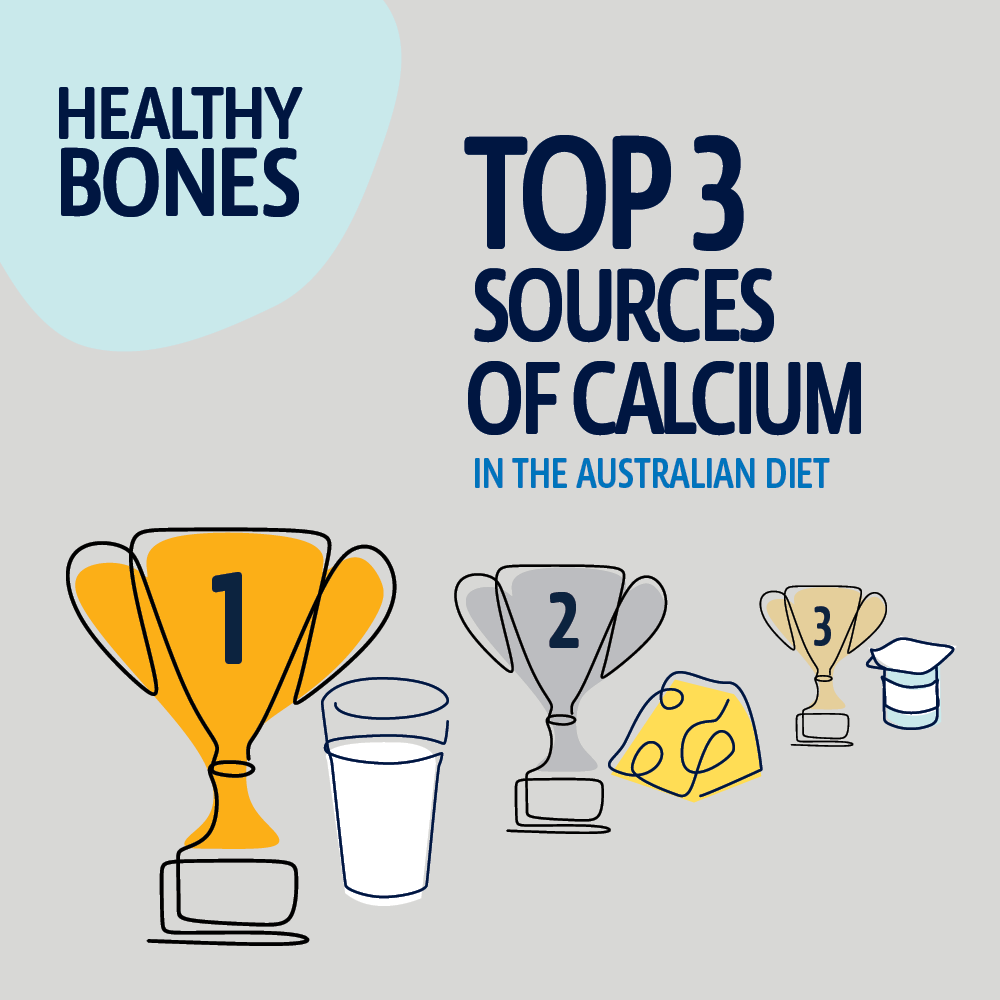 Healthy Bones Action Week top 3 sources of calcium in the Australian diet