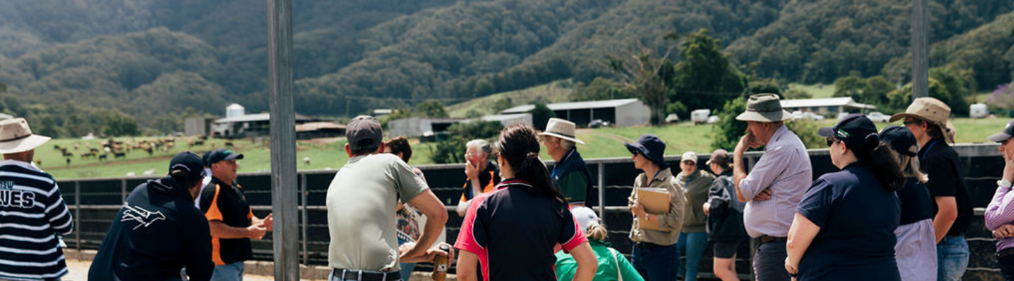 Community gathering in a regional area