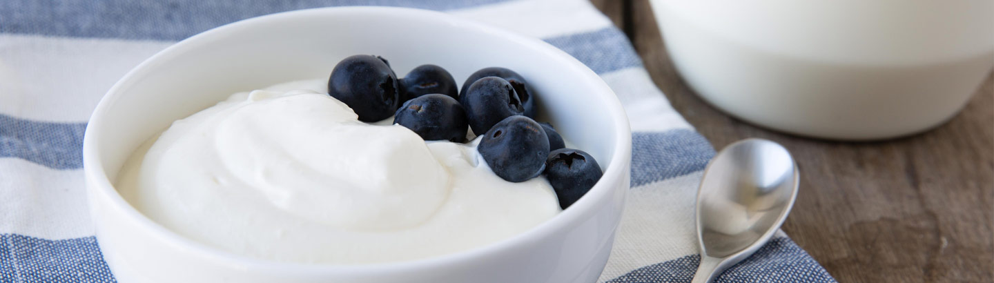 A picture of a bowl of white yoghurt served with blueberries. 