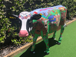 Picasso Cows Program 2 Gold Award- 1st Place | West Morley Primary School