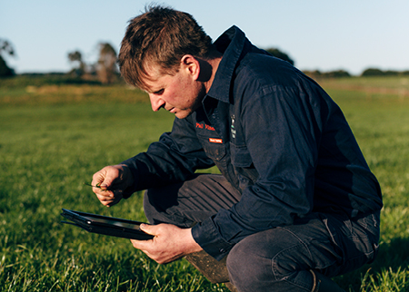 Farmer analysing his pasture using a tablet on his farm