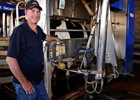 Farmer standing beside a cow being milked in a robotic dairy