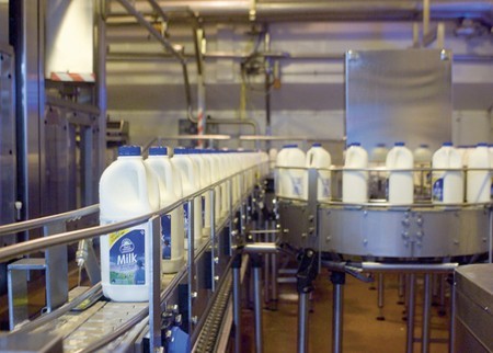 Milk bottles being filled on a production line