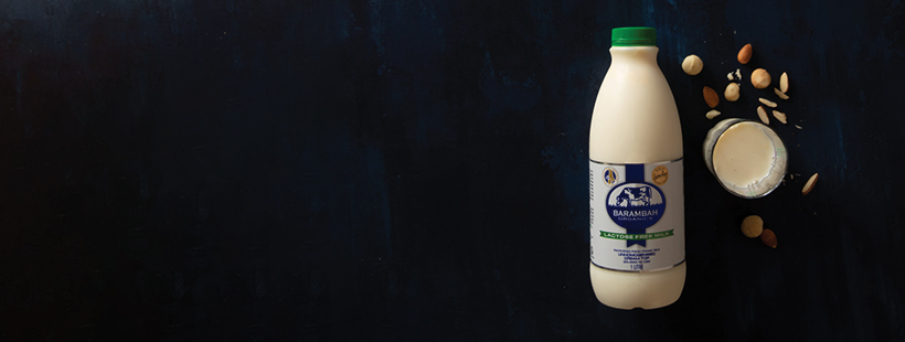 Barambah Organics Lactose Free Full Cream Milk