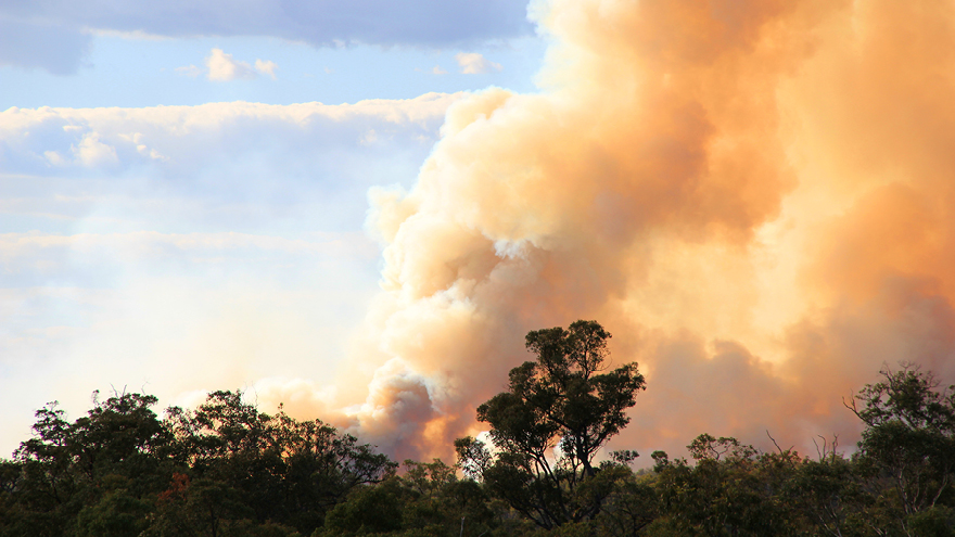 Image of bushfire smoke, blue sky in background