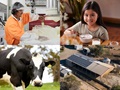 The image is divided into four equal segments, each with a different image. One image is of a worker in a dairy factory wearing personal protective equipment. Another image is of a young girl with dark hair sitting at a table, with a bowl of yoghurt and a glass of milk. One image is of a black and white cow. The final image is an aerial view of a dairy shed with many solar panels on the roof.