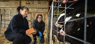 Dairy Australia | National services body for the dairy industry