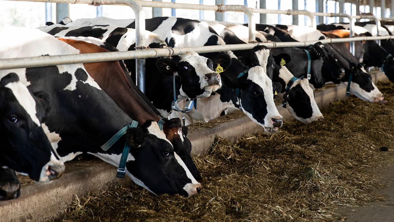 Anaerobic Digesters | Dairy Australia