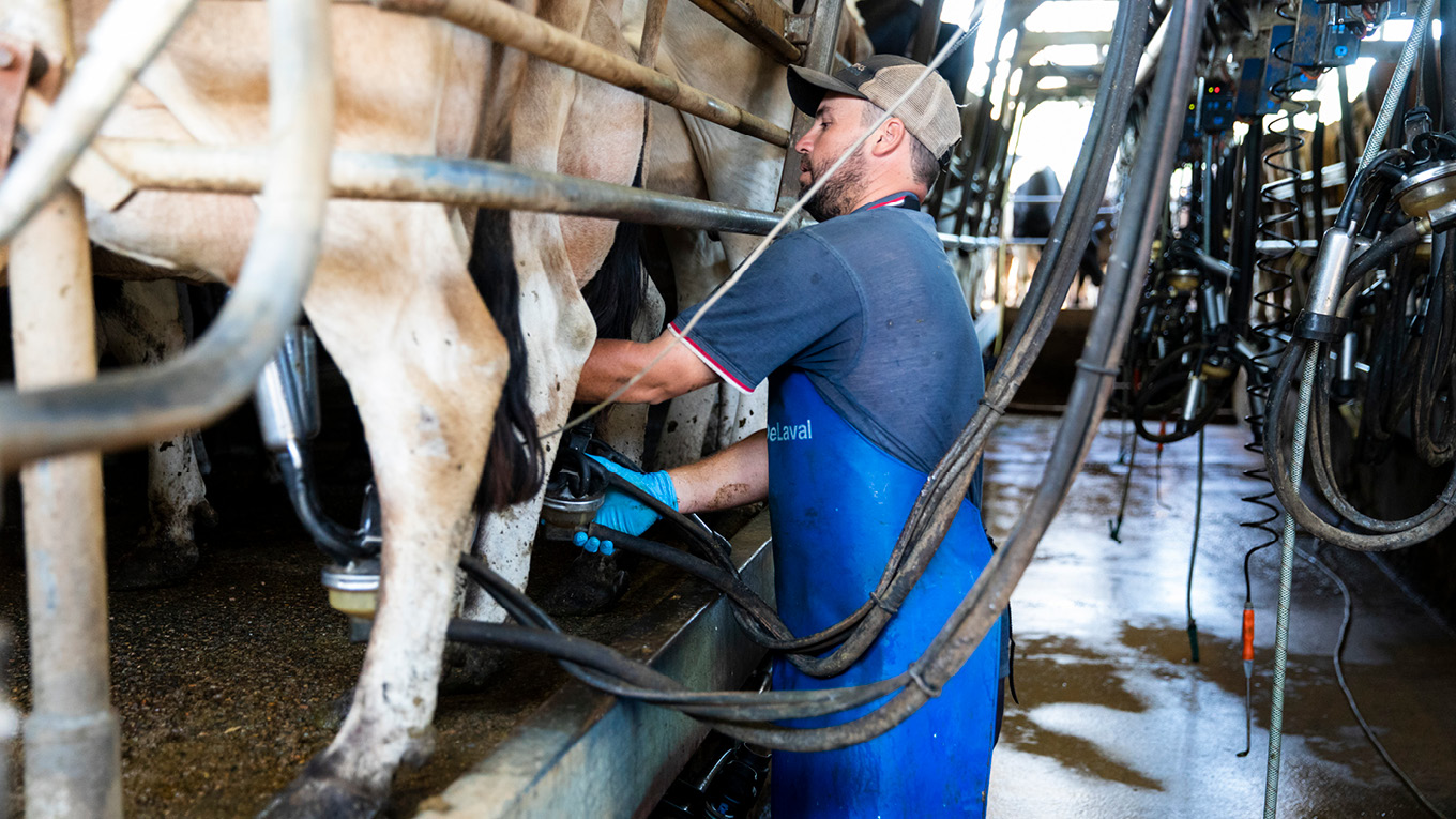 Dairy Sheds | Dairy Australia