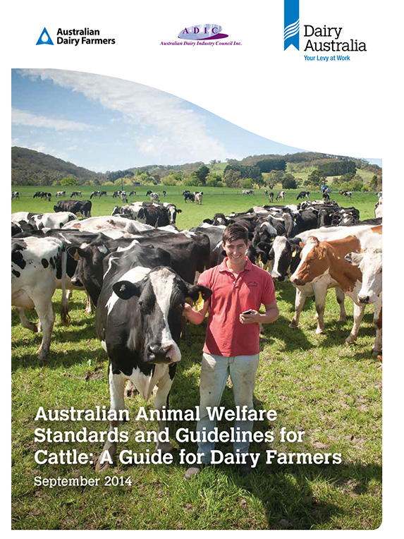 Animal welfare standards and guidelines | Dairy Australia