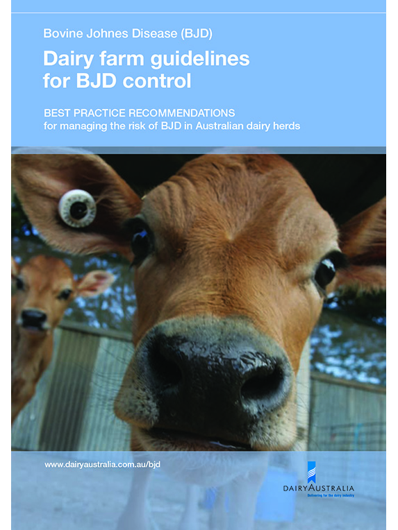 Dairy farm guidelines for BJD control | Dairy Australia