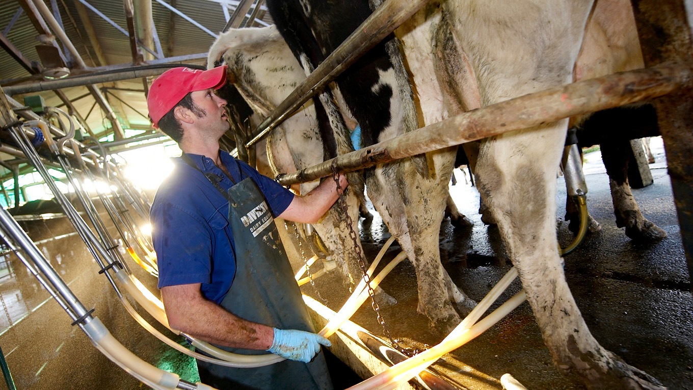 Dairy NSW Programs | Dairy Australia