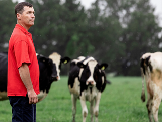 Farmer in paddock with cows