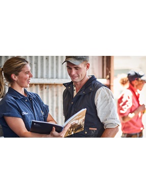 A Dairy NSW staff member is showing a program guide to a local farmer.