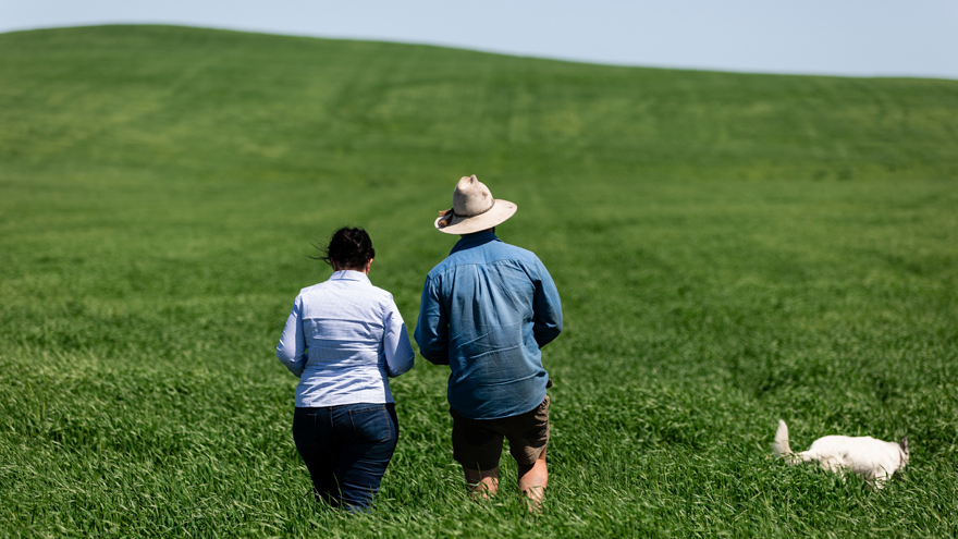 A man and a woman standing in green pasture