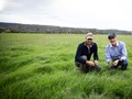 Reducing nitrogen fertiliser use in pasture production