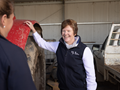 Jenny Wilson, Murray Dairy, Chief Executive Officer, Regional Manager