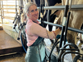 Phoebe Dillon, farmer, cow, milking, Murray Dairy
