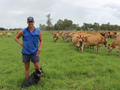 Luke Stock, dairy, farmer, paddock, cows, pasture