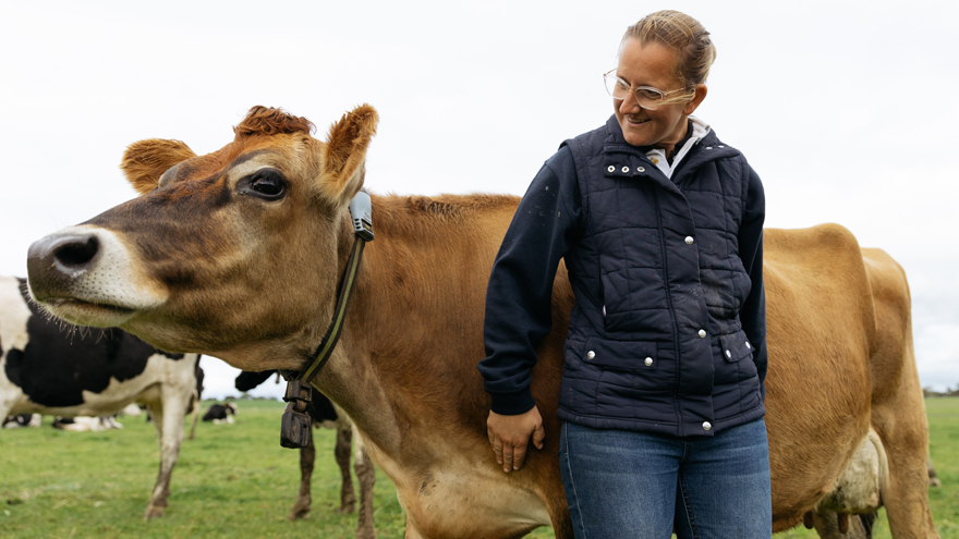 Woman standing in front of cow, smiling