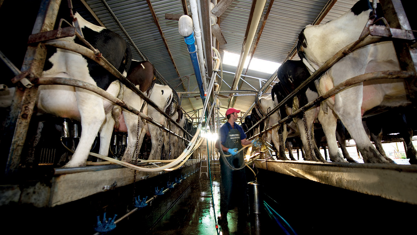 Milk Processing Overview Dairy Australia